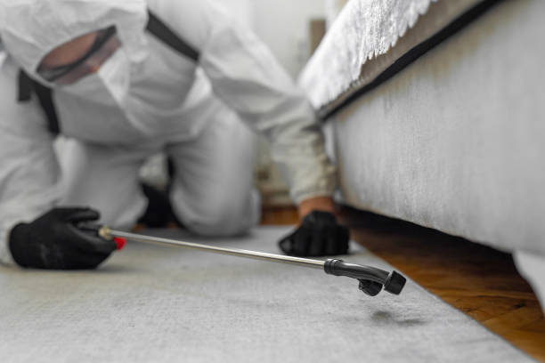 Professional Termite Control technician working in Middlefield, OH