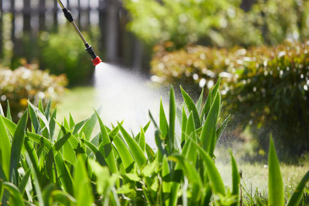 24/7 Emergency Termite Control experts in Middlefield, OH