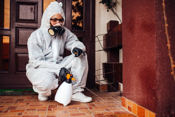 Reliable Termite Control contractor in Middlefield, OH by Nex Pest Control